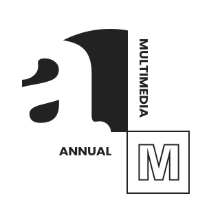 Annual Multimedia Award - SILBER